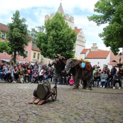 Unechter Elefant und Künstler stellen vor Publikum ihre Show dar.